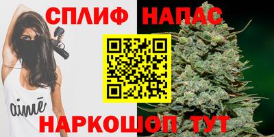 PSILOCYBIN Камышлов
