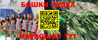 PSILOCYBIN Камышлов