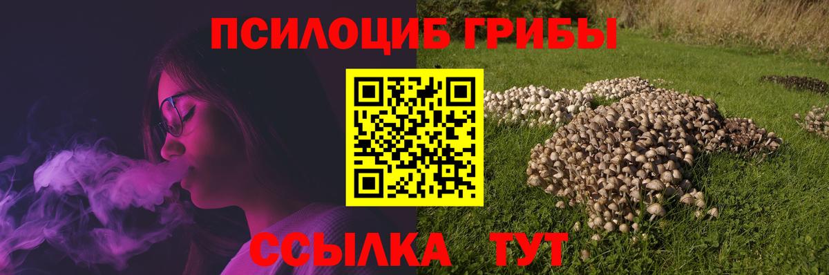 где продают   Вход с VPN  Медногорск  Галлюциногенные грибы GOLDEN TEACHER  Галлюциногенные грибы Magic Shrooms 